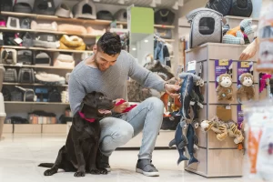 comprar para pets