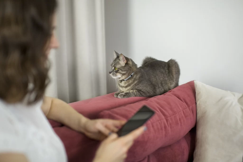 pets seguem pela casa